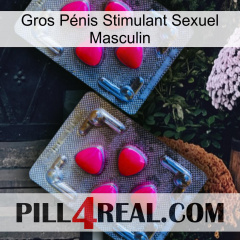 Gros Pénis Stimulant Sexuel Masculin 14